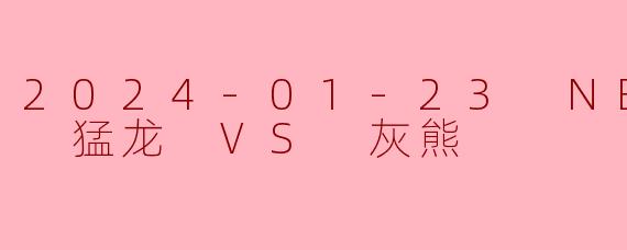 2024-01-23 NBA常规赛 猛龙 VS 灰熊